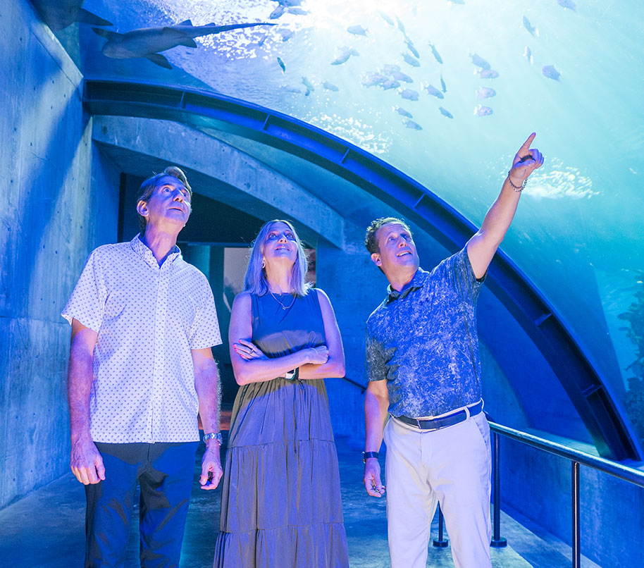 Visitors exploring the immersive underwater tunnel at the Mazatlán Aquarium.